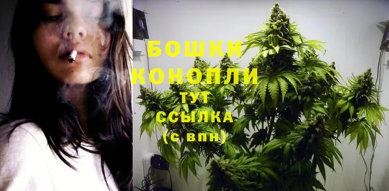 hydra как войти  Каргат  Бошки марихуана OG Kush 